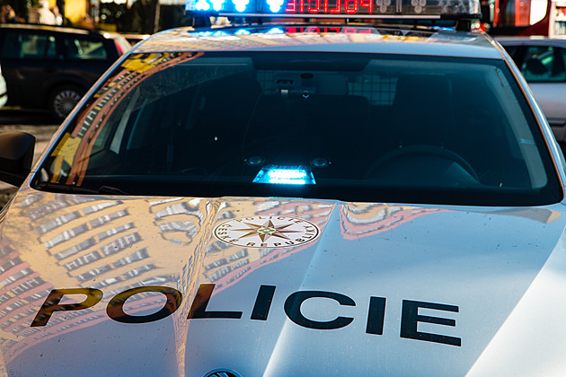 Cizí muž lákal dívku do auta. Posílá mě maminka, tvrdil a vábil ji na psa