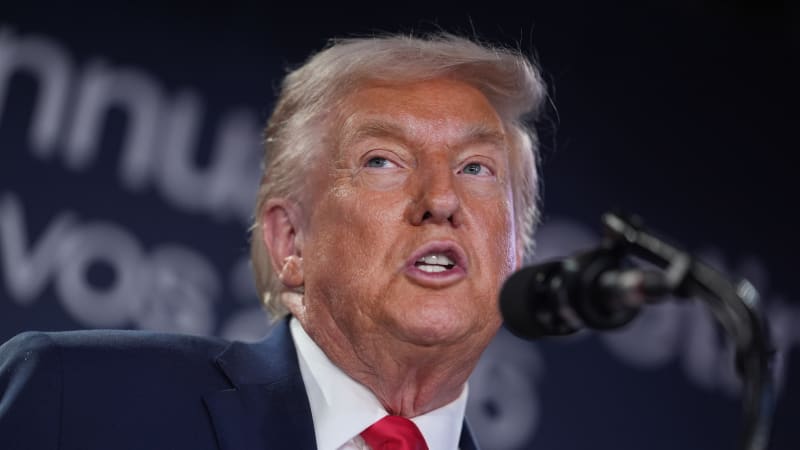 ANALÝZA: Trump bojuje jak bijci z UFC, boří pravidla. Evropa stojí před zásadním rozhodnutím