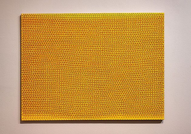 Geometrie, ze které jde hlava kolem. Na Kampě zahájili výstavu Pavla Rudolfa