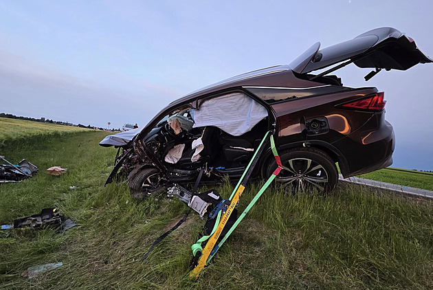 Miliardář Pelc čelí obžalobě kvůli smrtelné nehodě, hrozí mu až šest let vězení