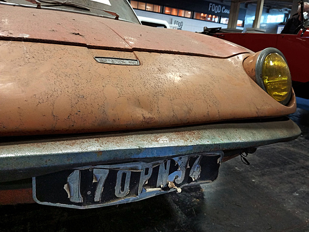 Kráska ze smeťáku. Svůdná Samantha je velká vzácnost