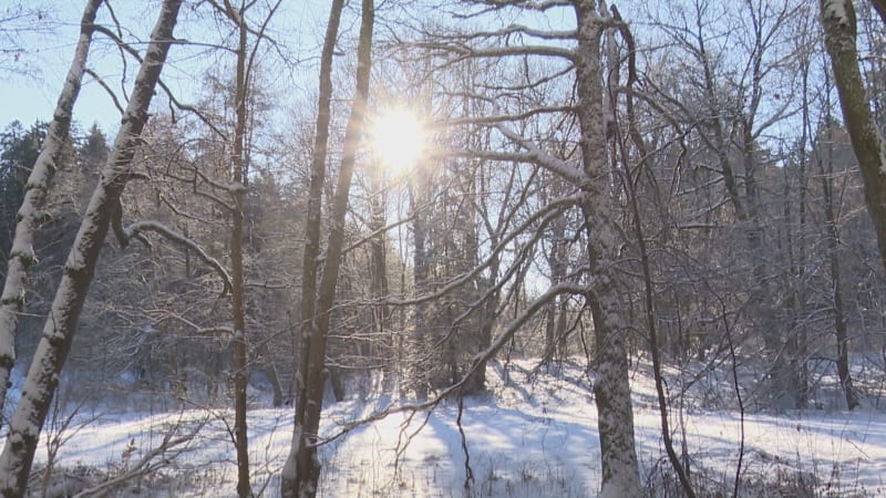 Jak světlo ovlivňuje spánek a náladu? To umělé může škodit, ne vždy tak tomu ale je