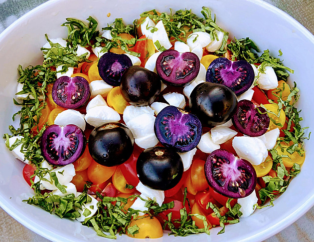 Geneticky upravená rajčata míří do australských obchodů, jsou fialová a sladší