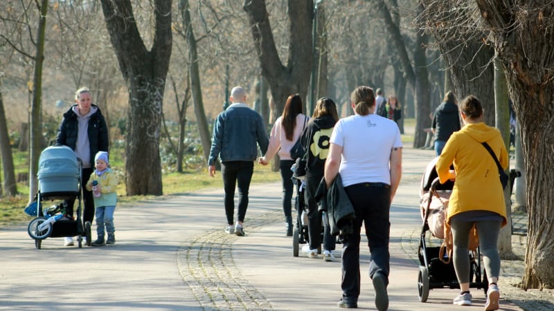 Jaro klepe na dveře. Kam až oči dohlédnou, žádnou zimu nevidíme, popisují odborníci